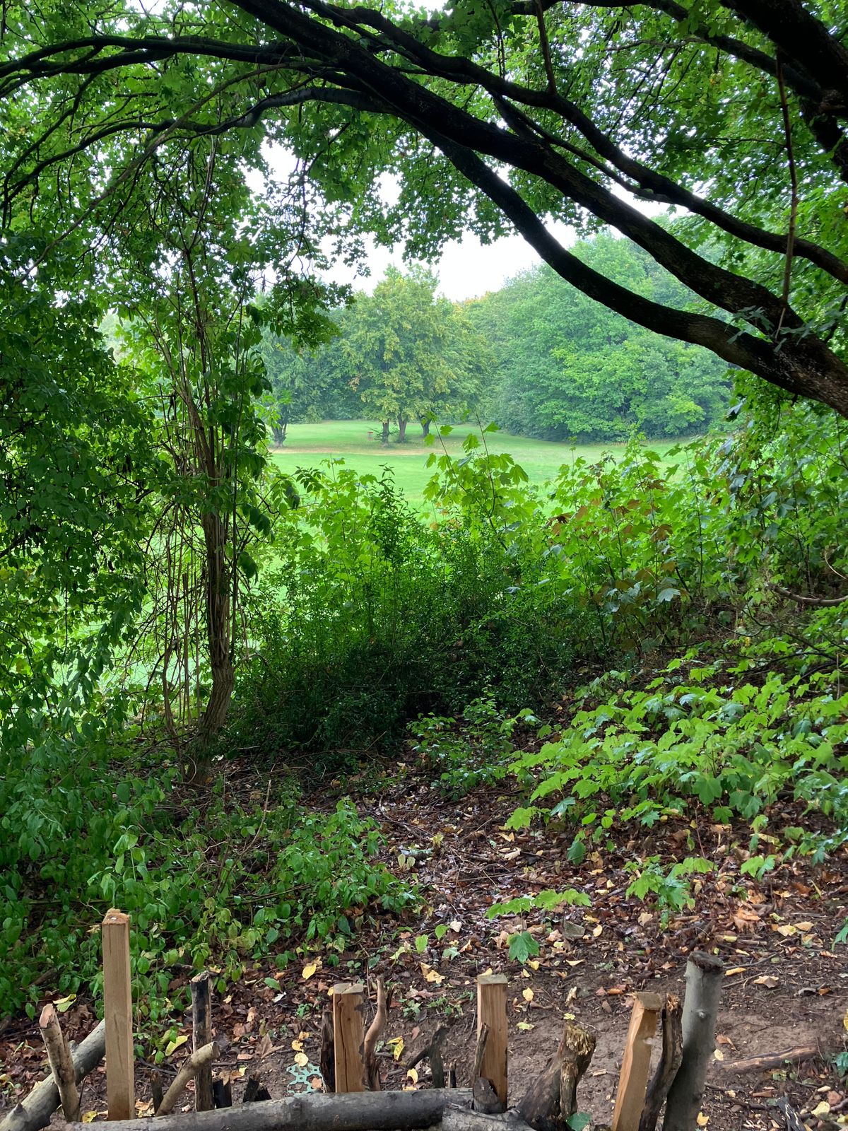 An extra basket position from the 14th tee?