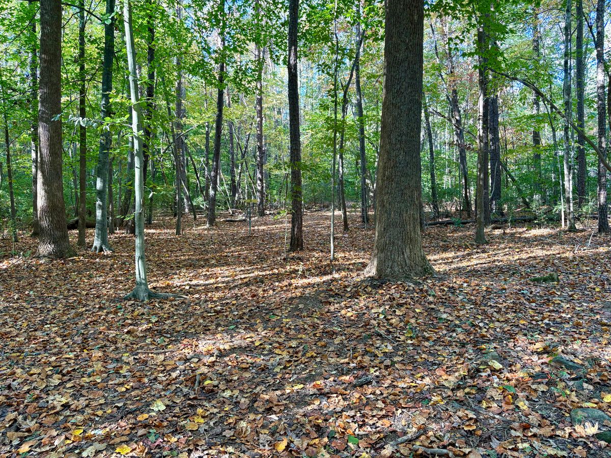 Hole 4 approach