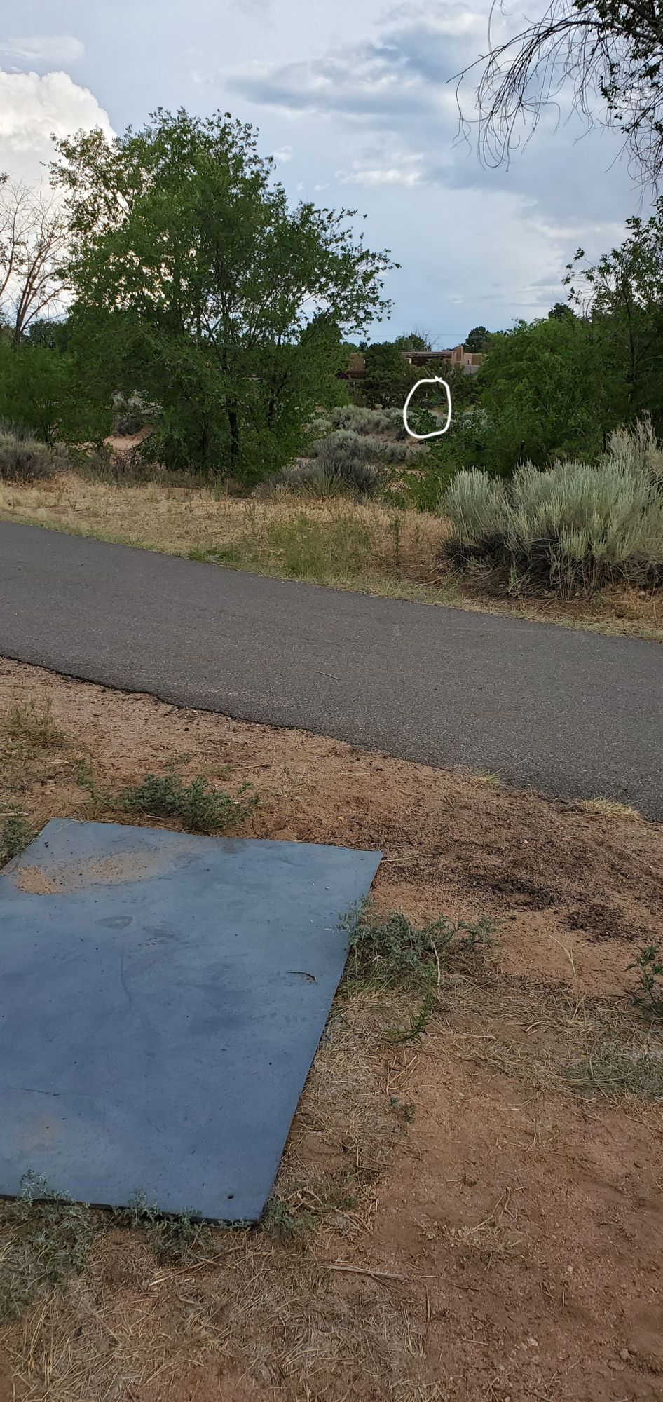 Hole 1. Short tee I think.