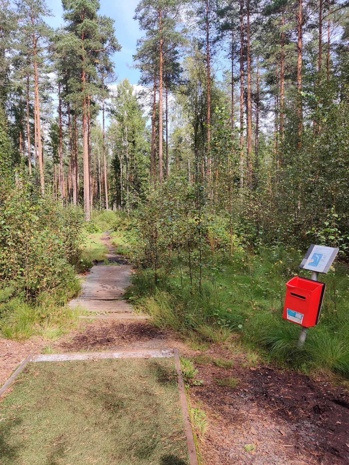 Väylä #10. Kaipaisi vähän trimmausta