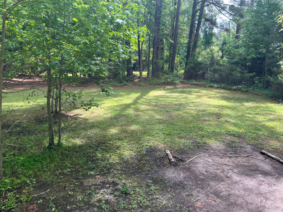 Go around the left or dare to go straight through the trees