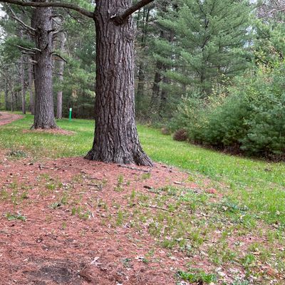 Hole 6