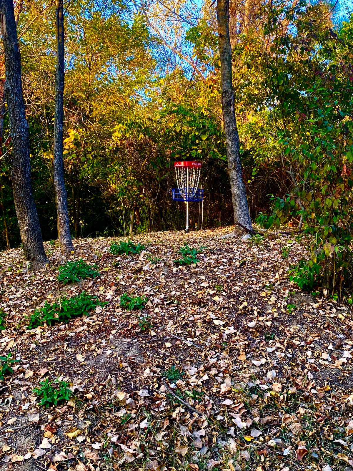 Hole 5
