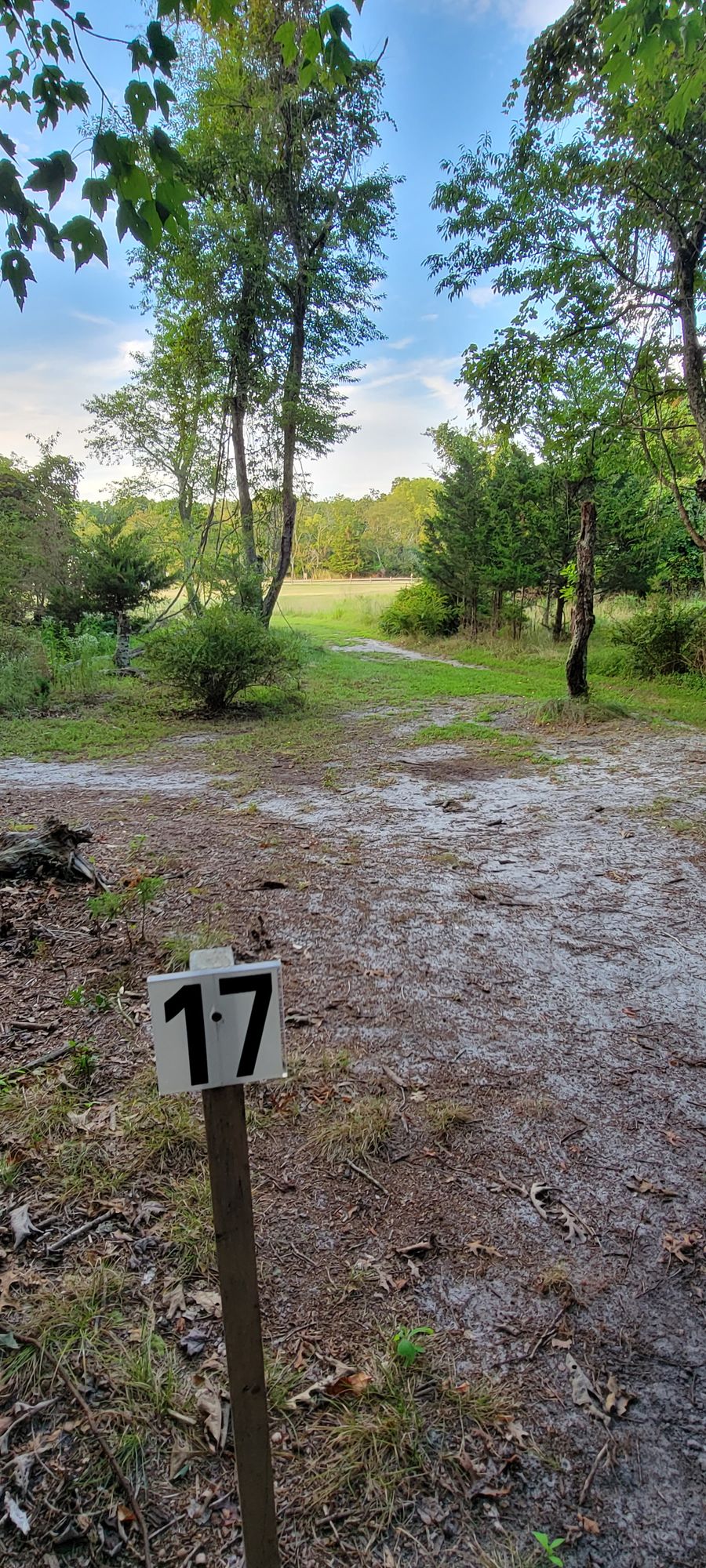 Hole 17 tee
