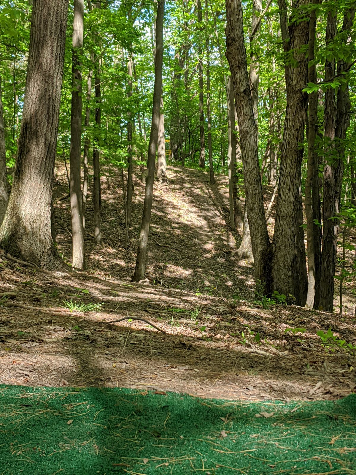 Hole 13