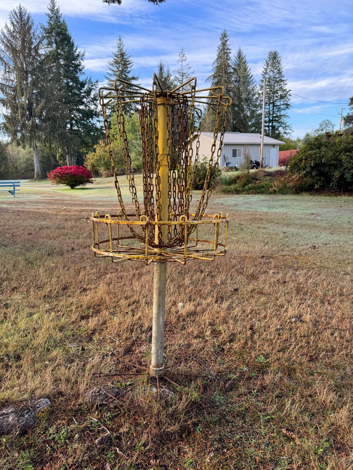 Basket - Hole 2
