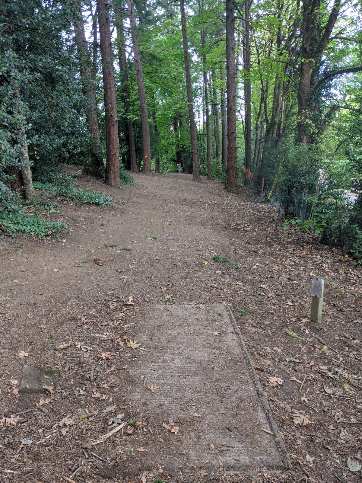 Hole 11 short tee box