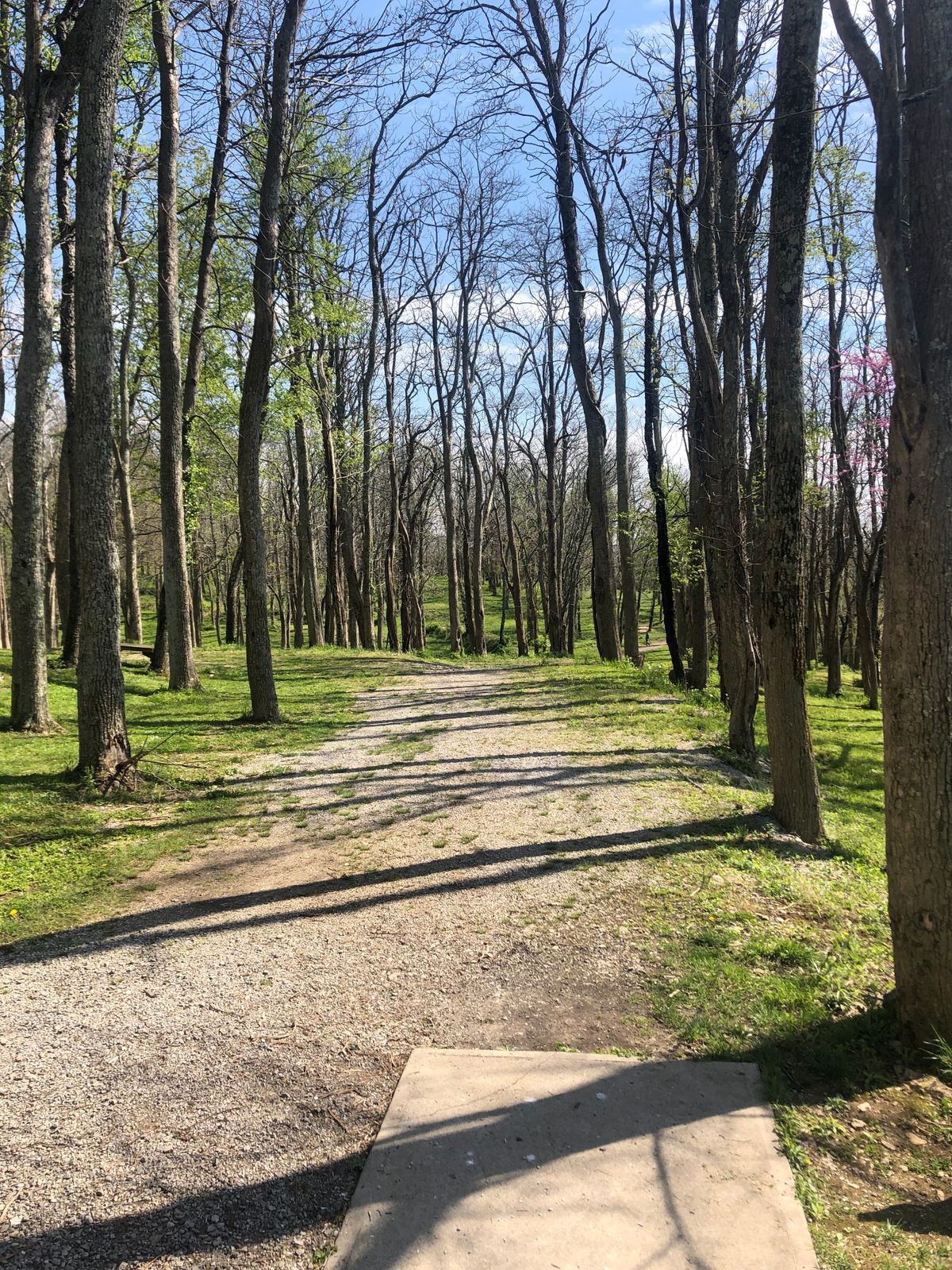 Hole 4 tee