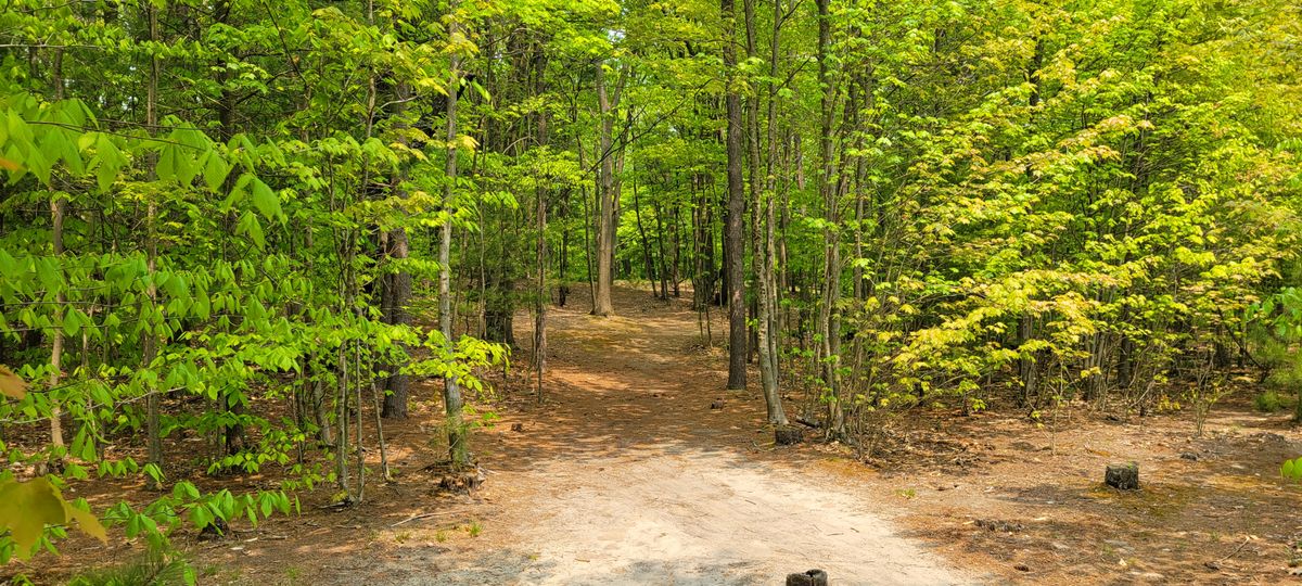 Hole 3 fairway