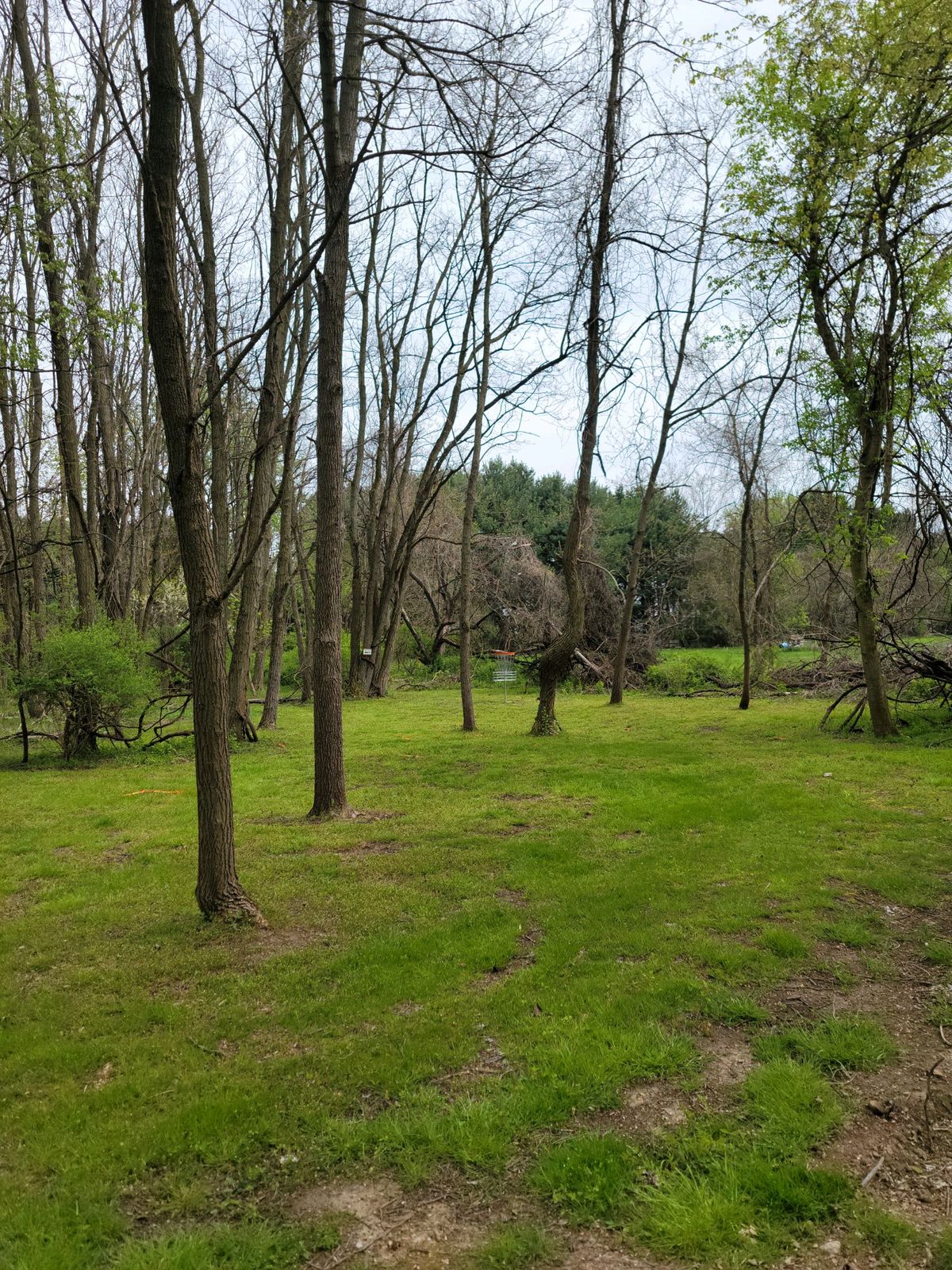 Hole #6 approach
