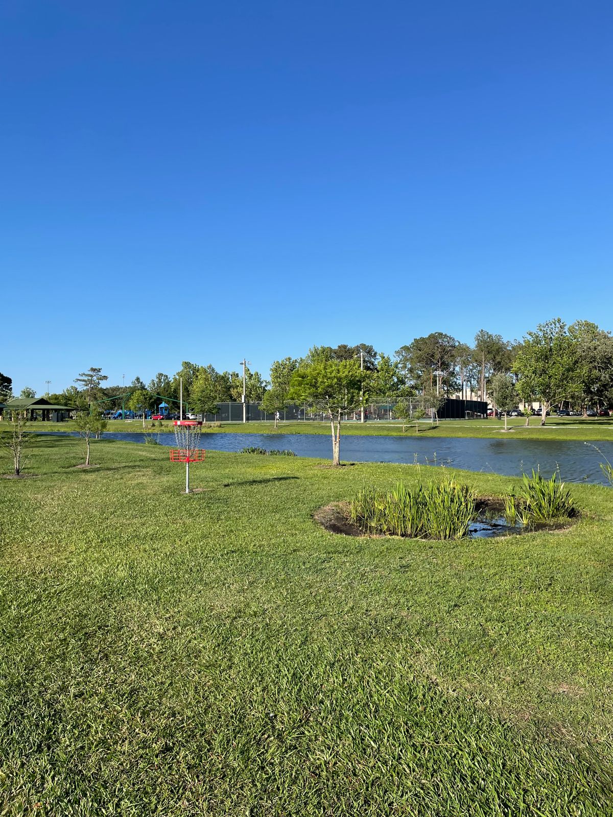 Hole 11
