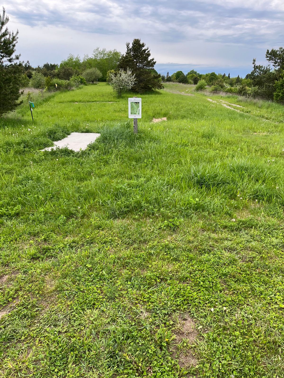 Hole one tee looking down the fairway. Grass is about a foot tall. In dire need of maintenance.
