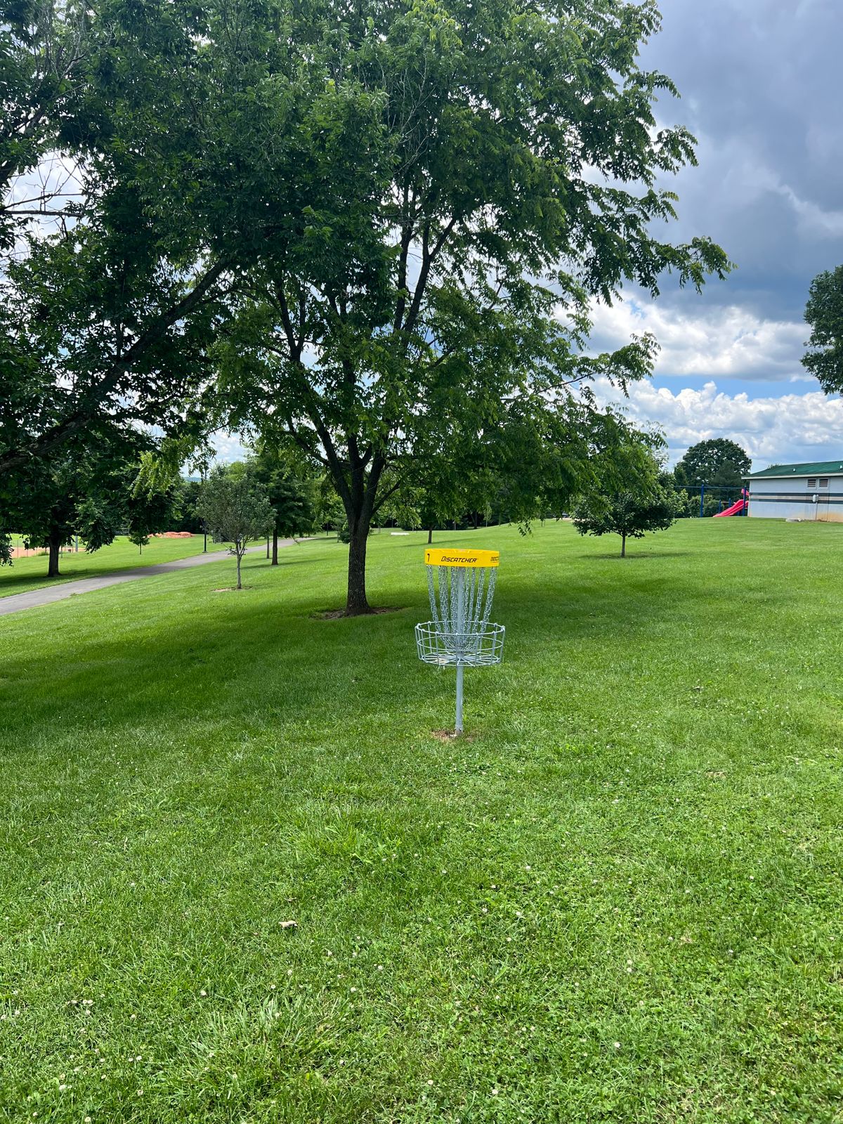 Hole #7 Behind Basket
