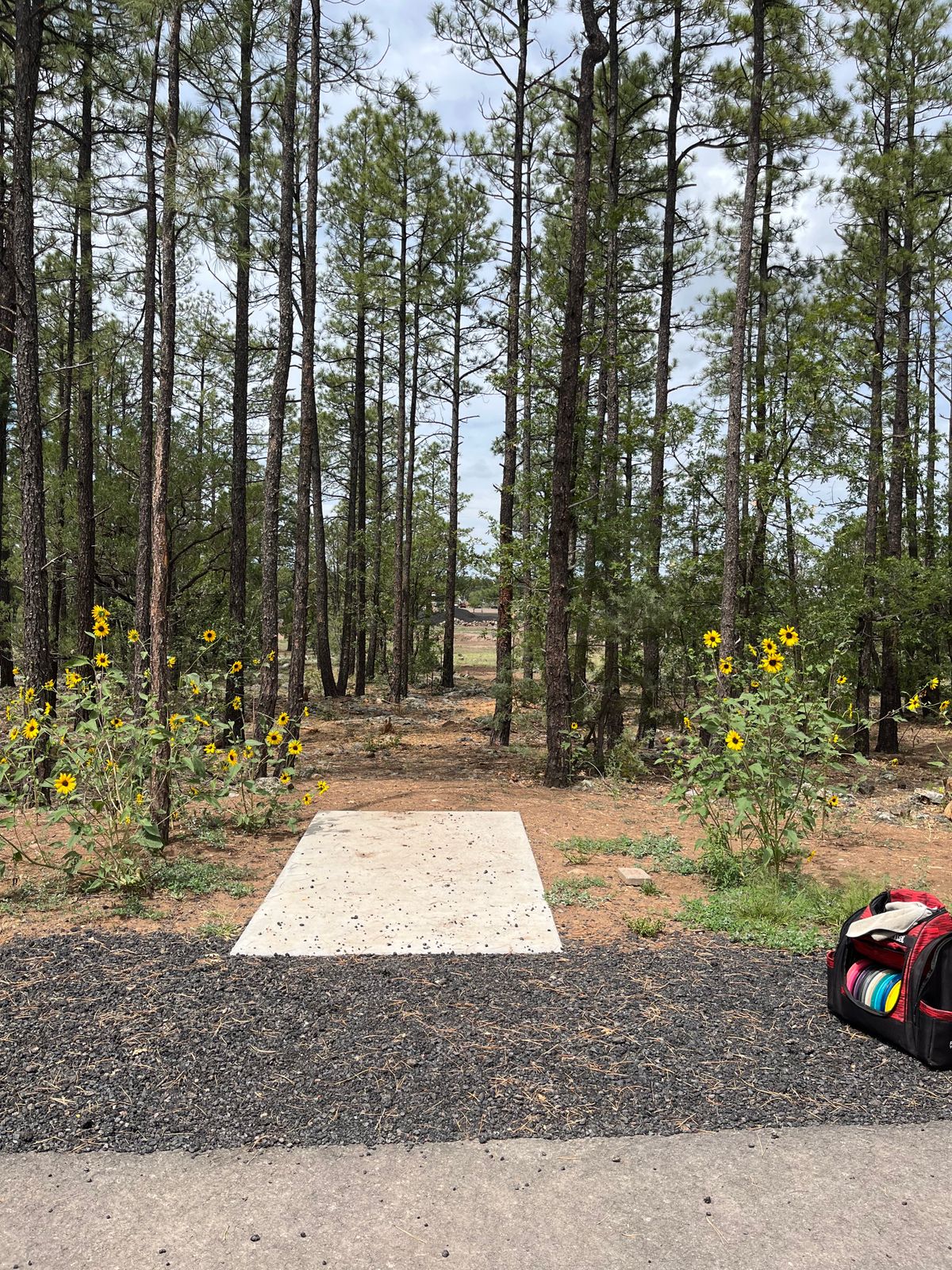 Hole #6 Teepad