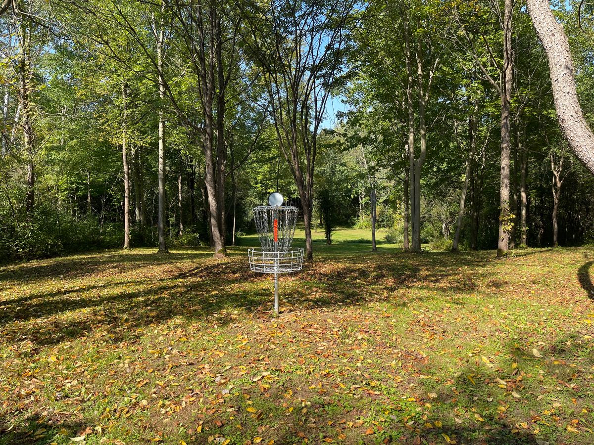 Hole 16 Basket