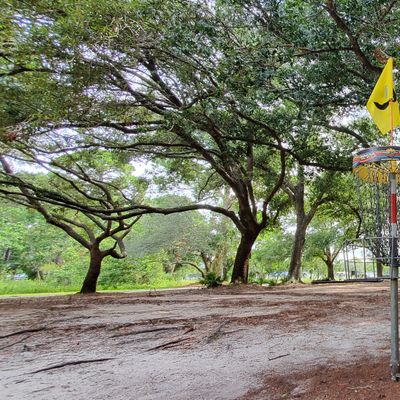 HOLE #8
