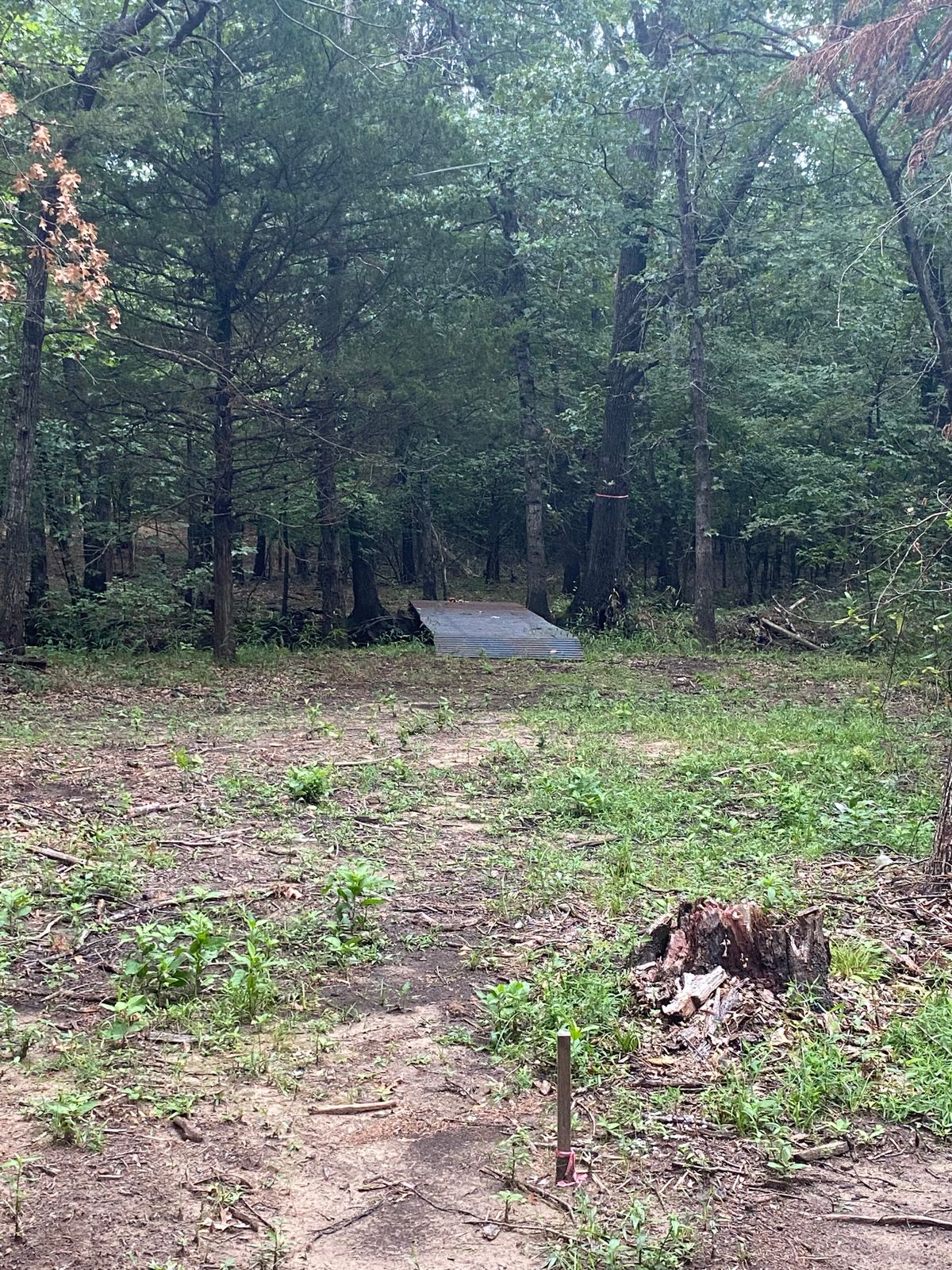 Hole 12