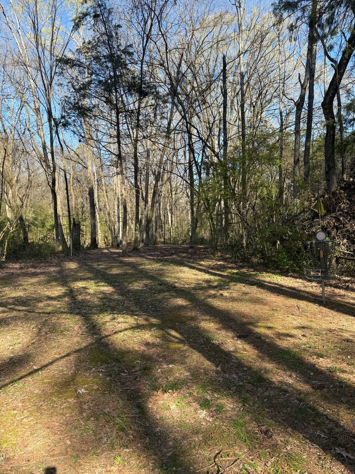 Fairway view both short and long basket