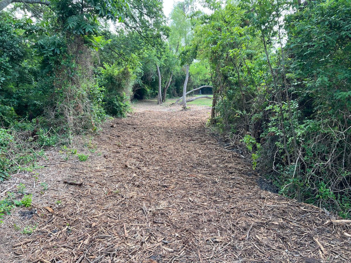 Hole 6 tee