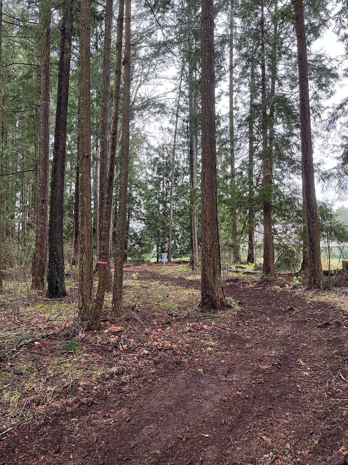 Hole 5