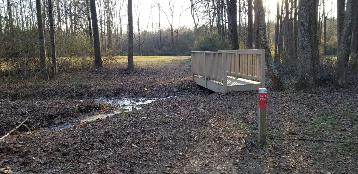 Hole 6 Tee Box
