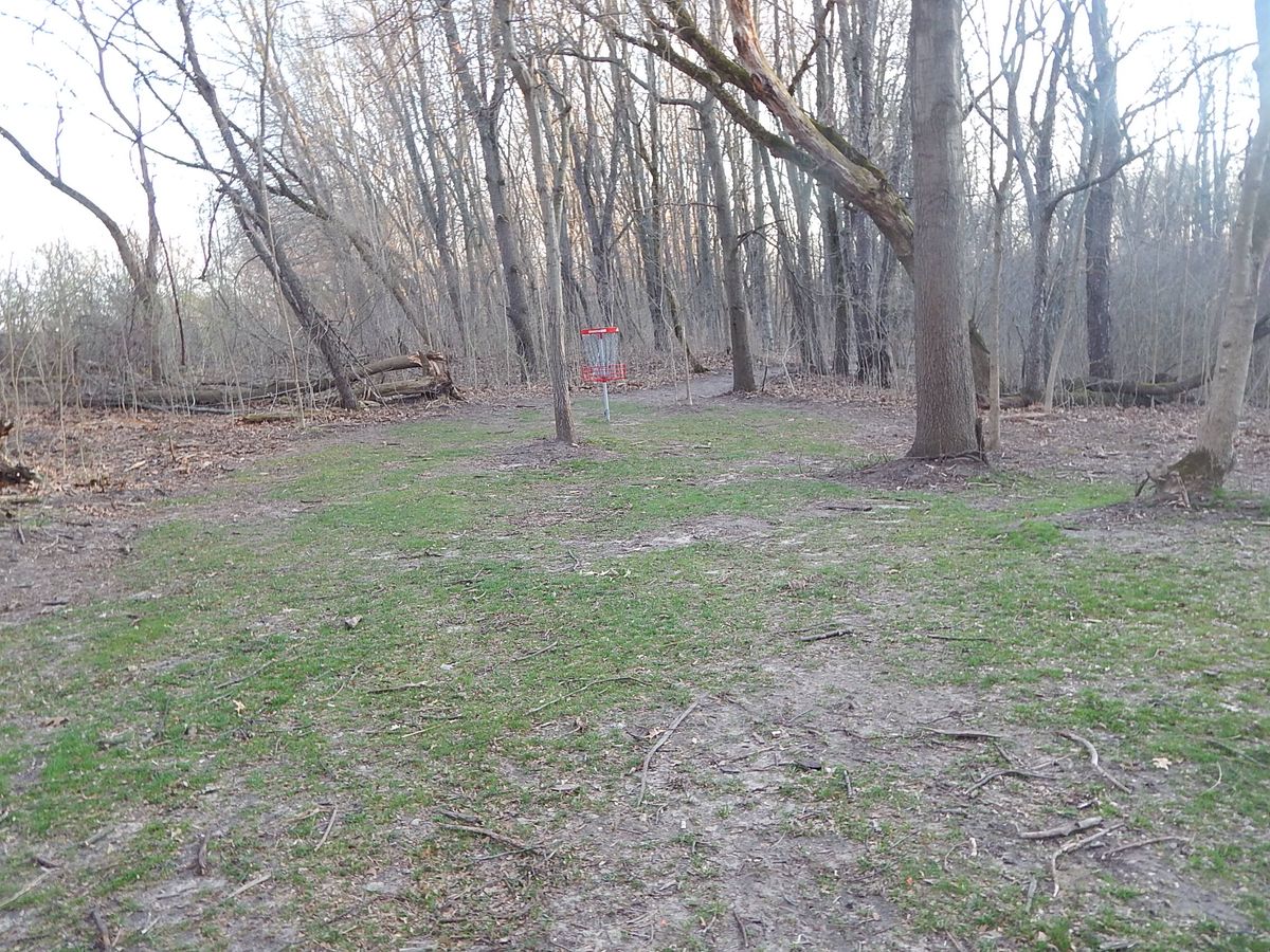 Hole 13 basket