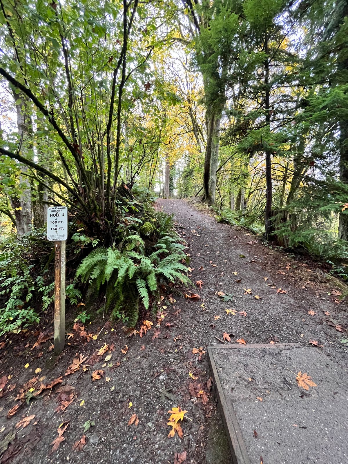 Hole 4 teepad - beware tree kicks/rollaways