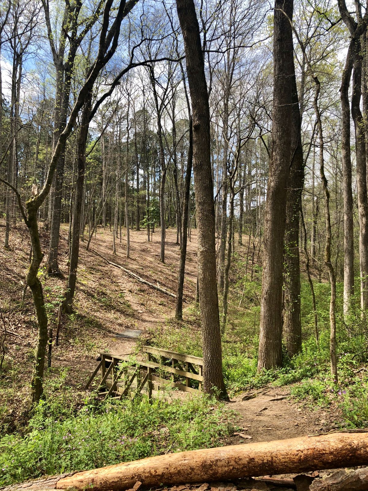 Hole 2 tee box