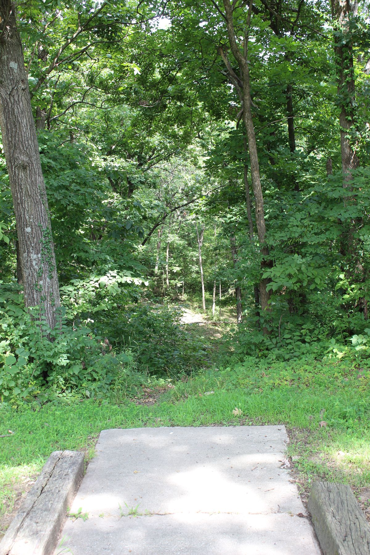 Hole 7 (Tee)
