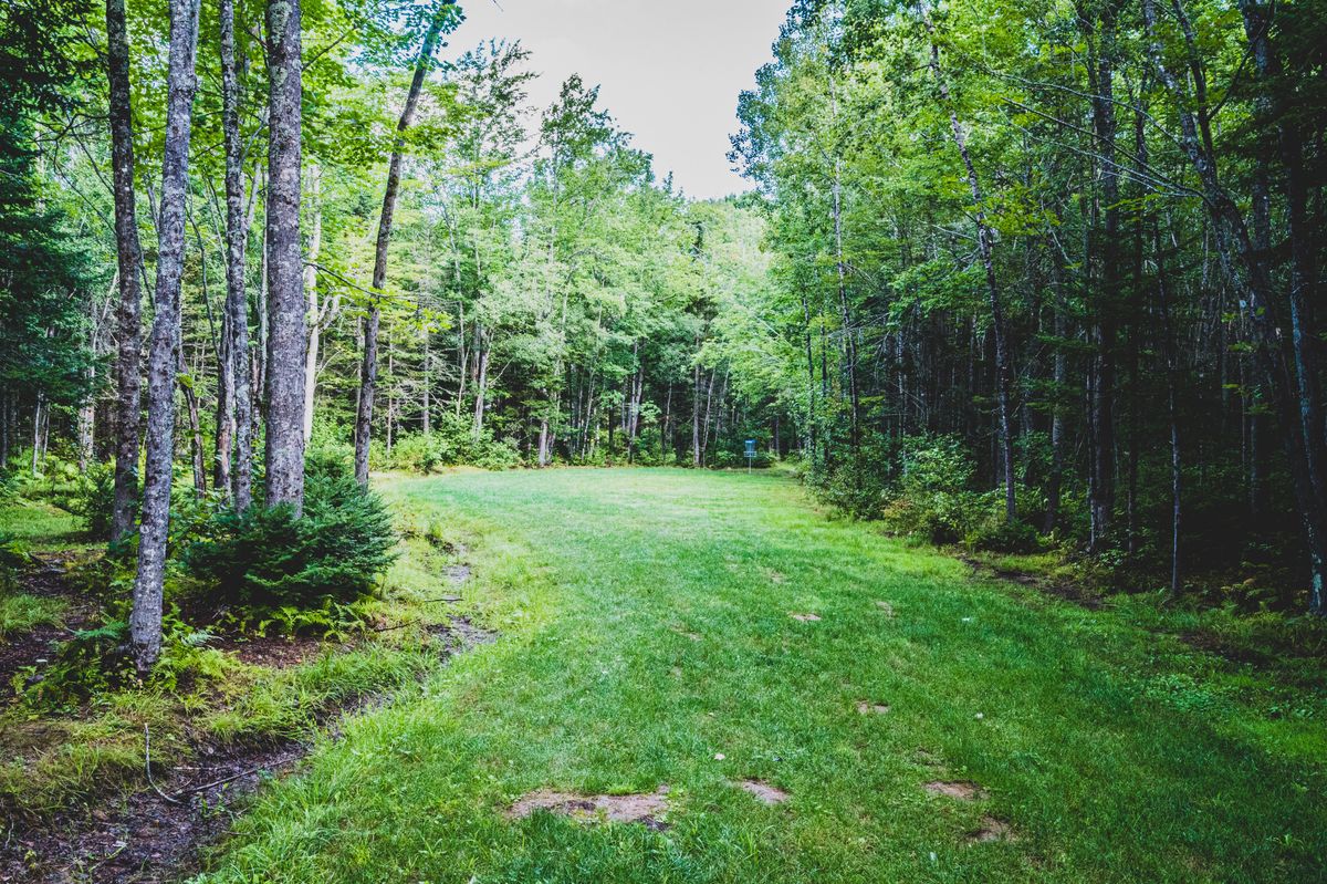 Hole 15 Fairway