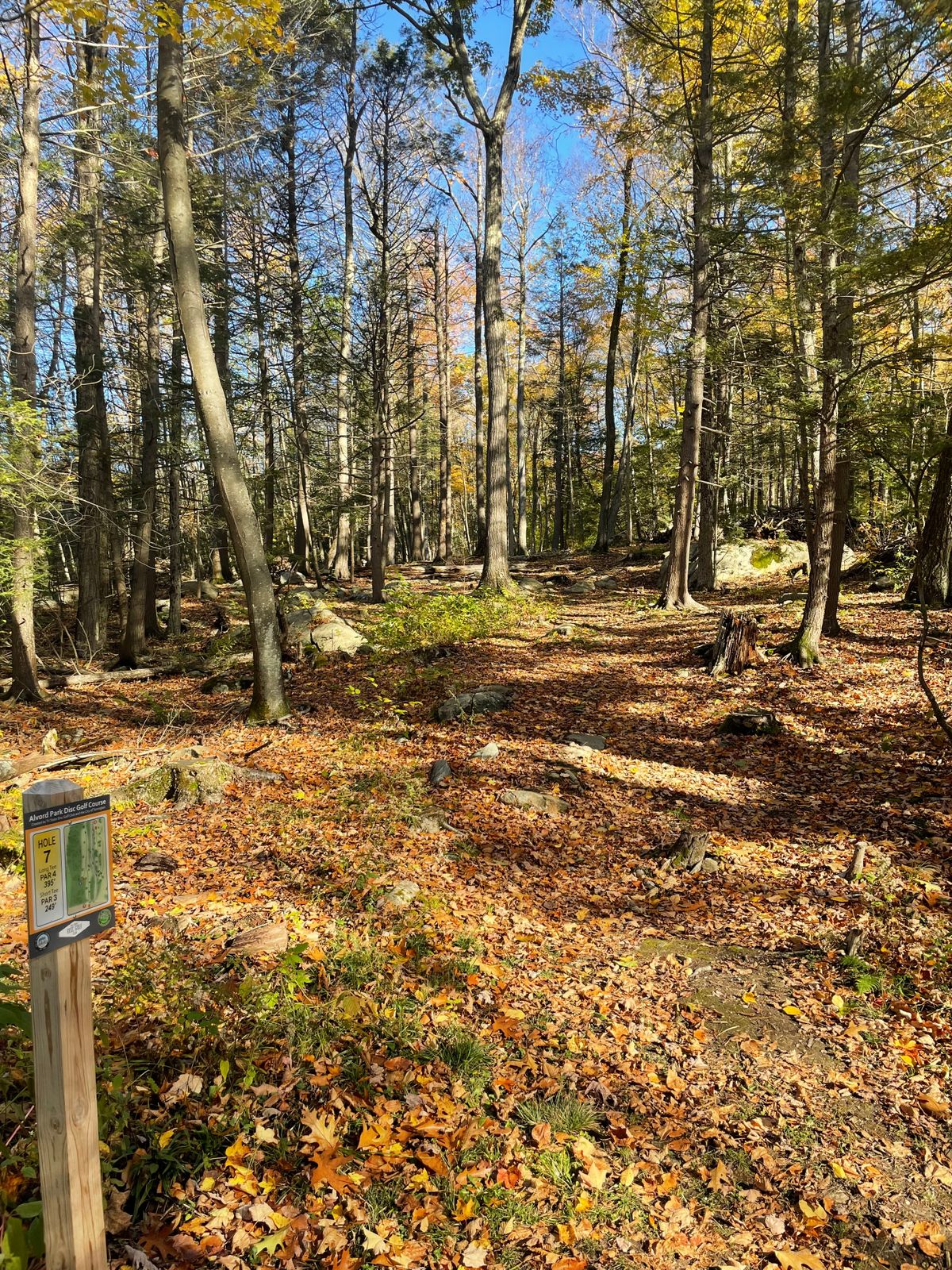 Hole 7