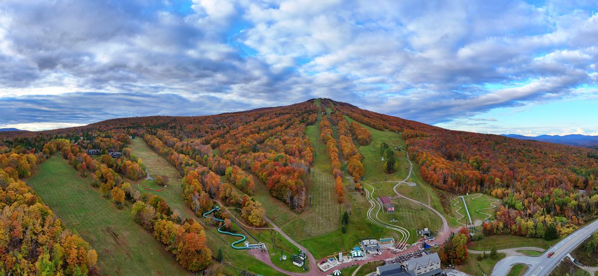 Fall foliage