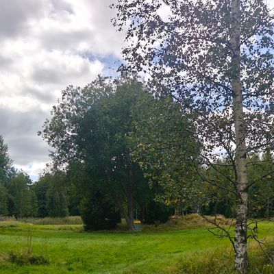 Hole 1