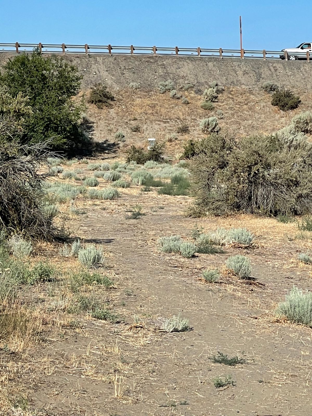 Hole 8