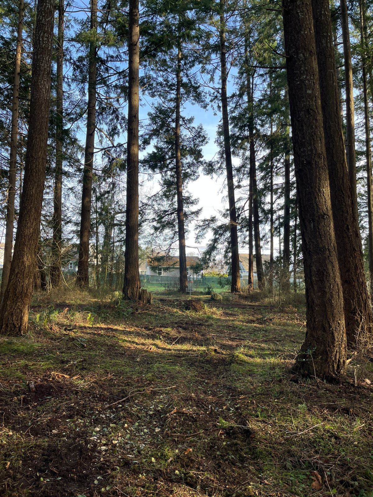 Hole 2
