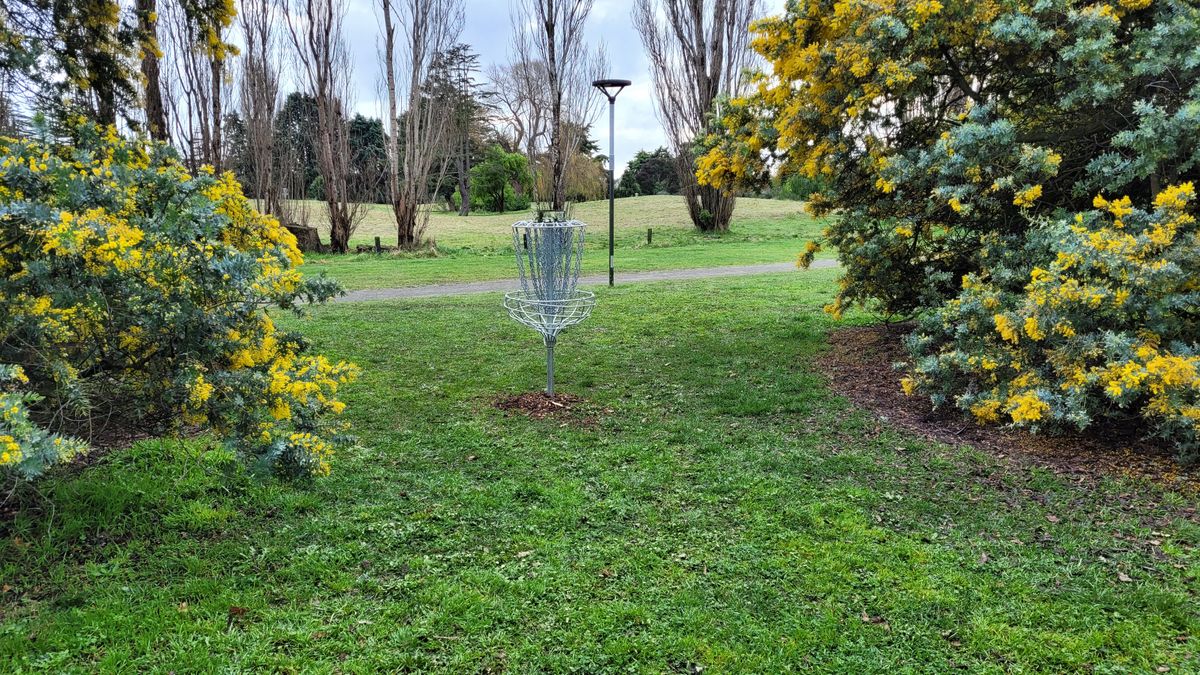 Hole 13 Basket