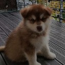 User avatar image