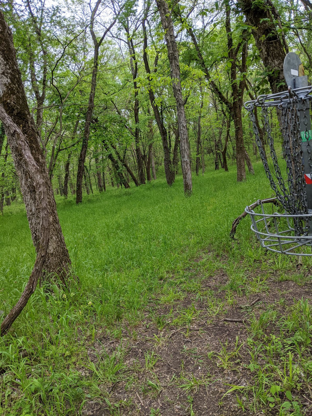 Basket 8 to fairway