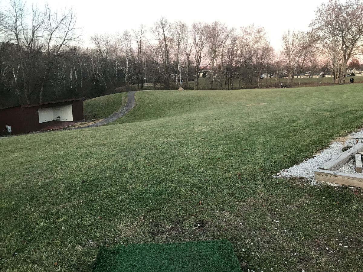 17 short tee