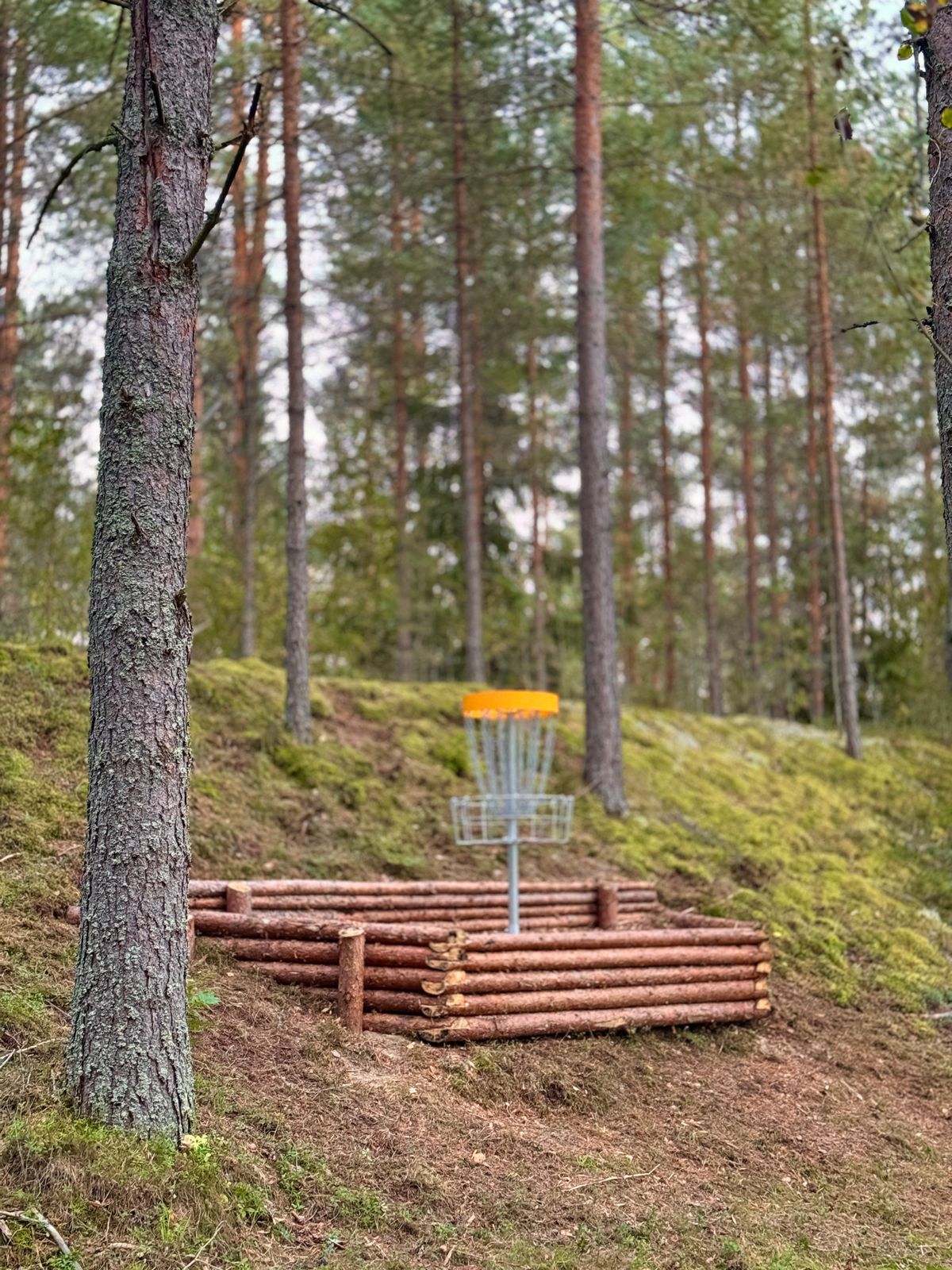 Väylä #18