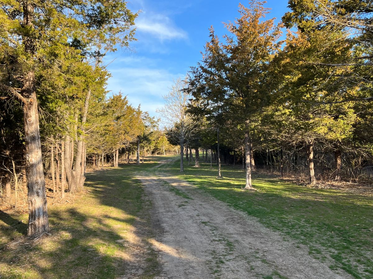 Hole 5 fairway