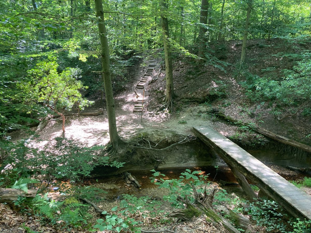 Bridge to 14th basket.