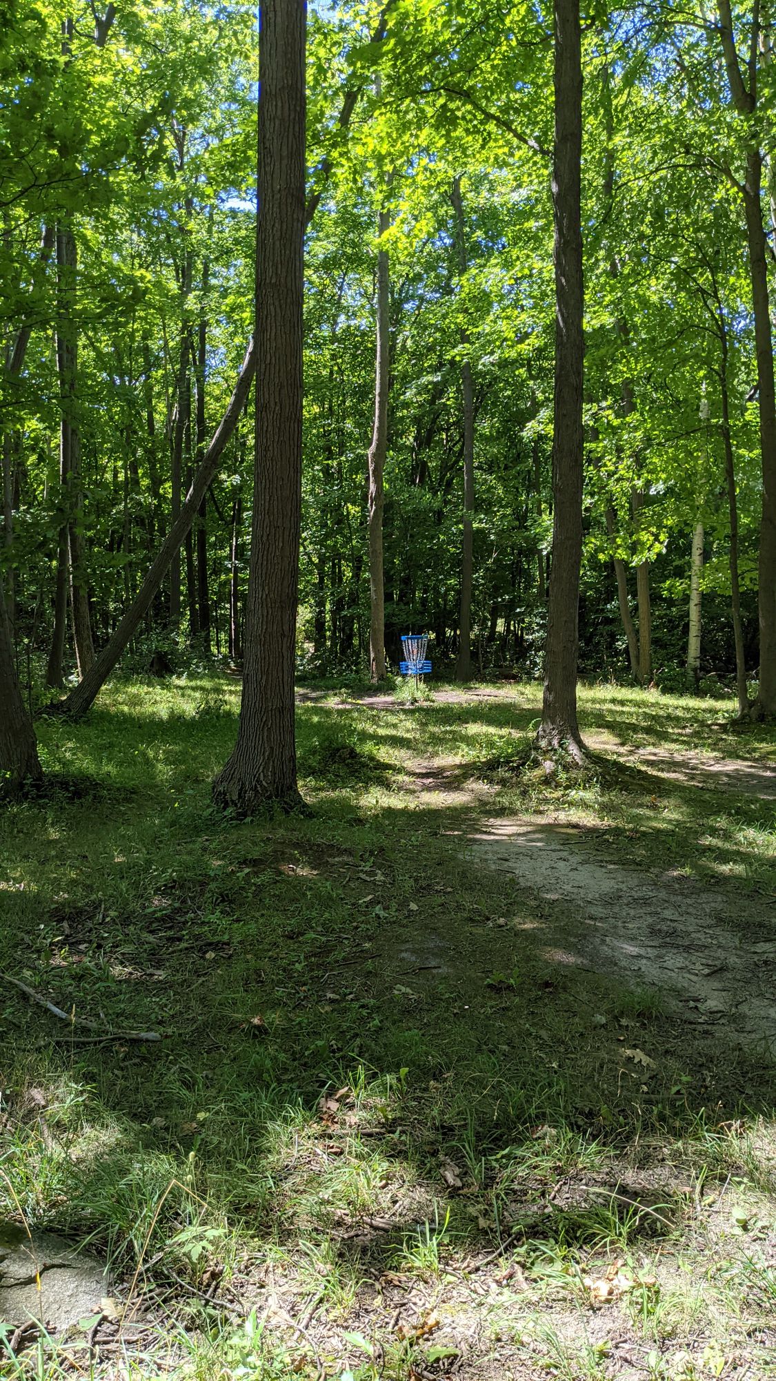 Hole 17