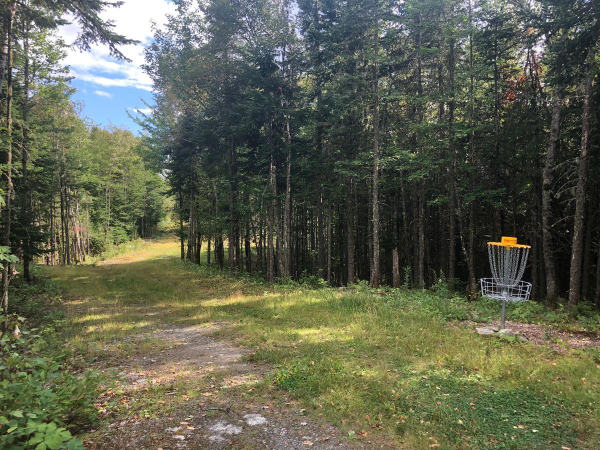 Hole #6 Basket