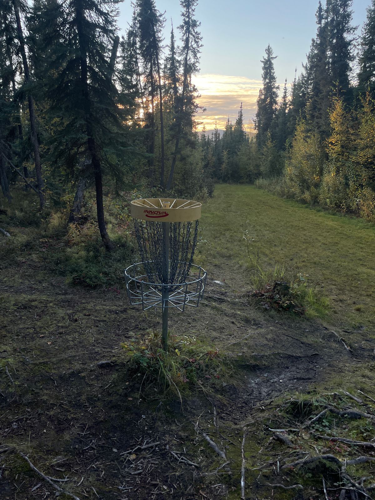 Hole 15 looking back down the fairway