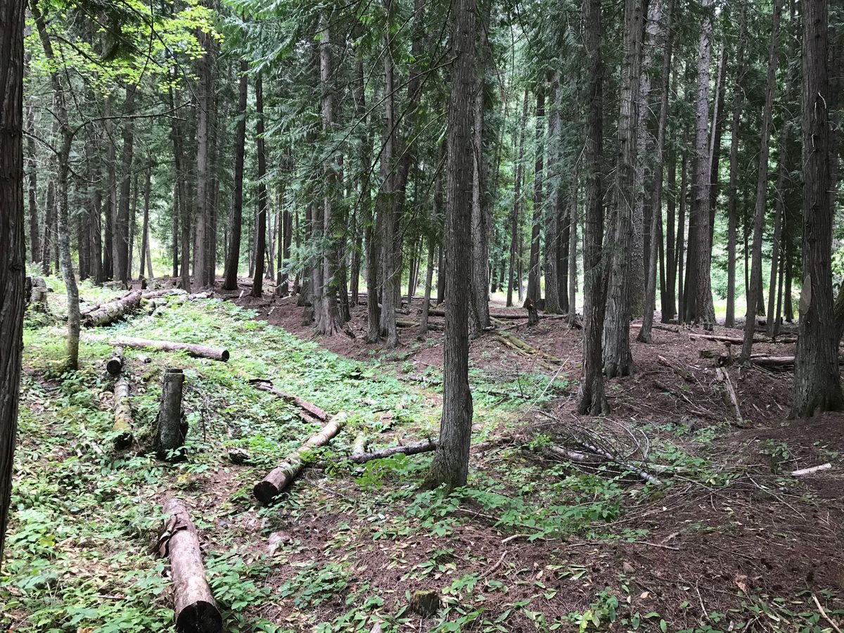Hole 9