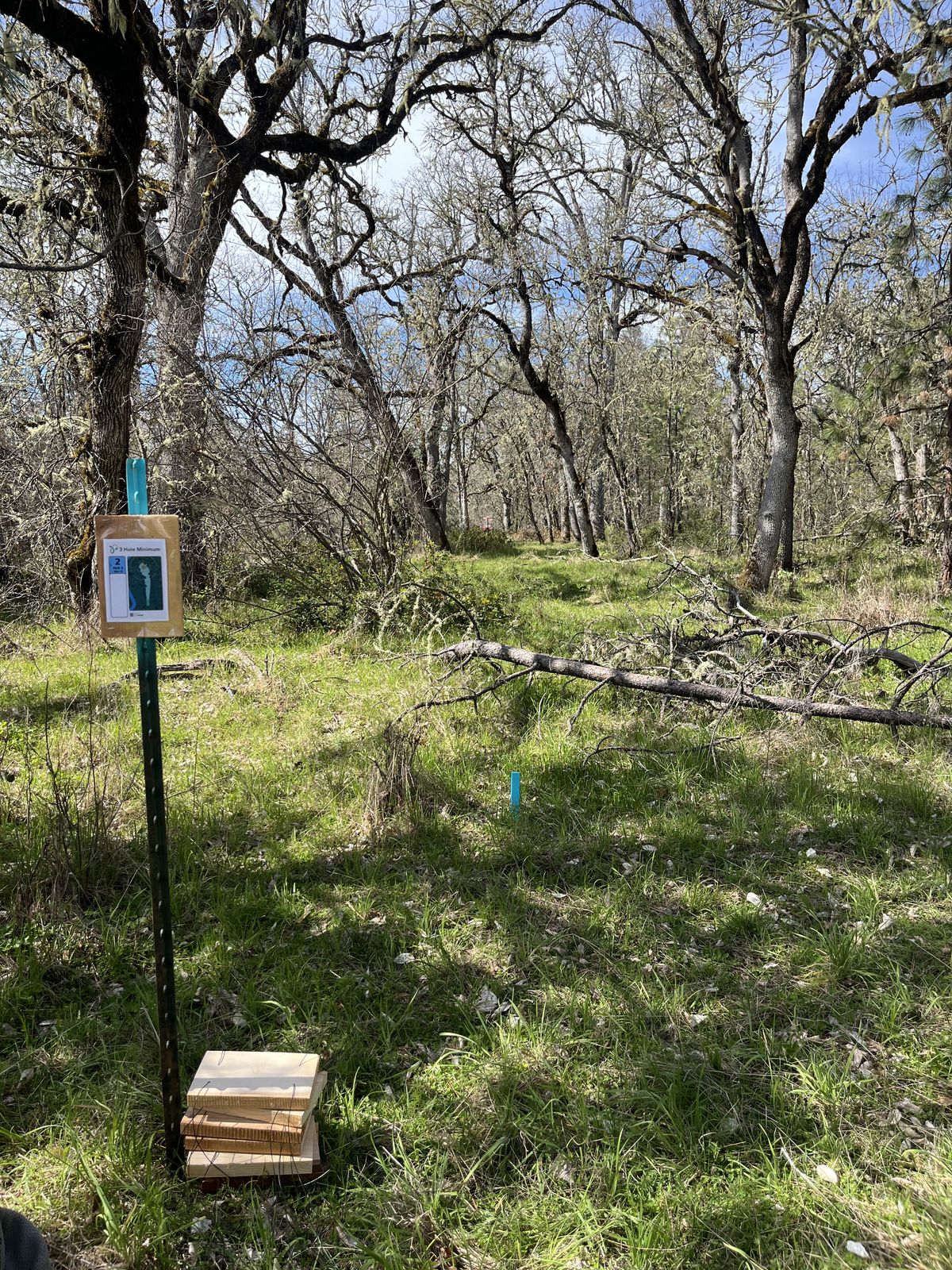 Tee Box 2 for "Buck 9"