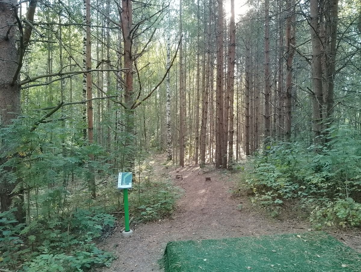 Hole #7.