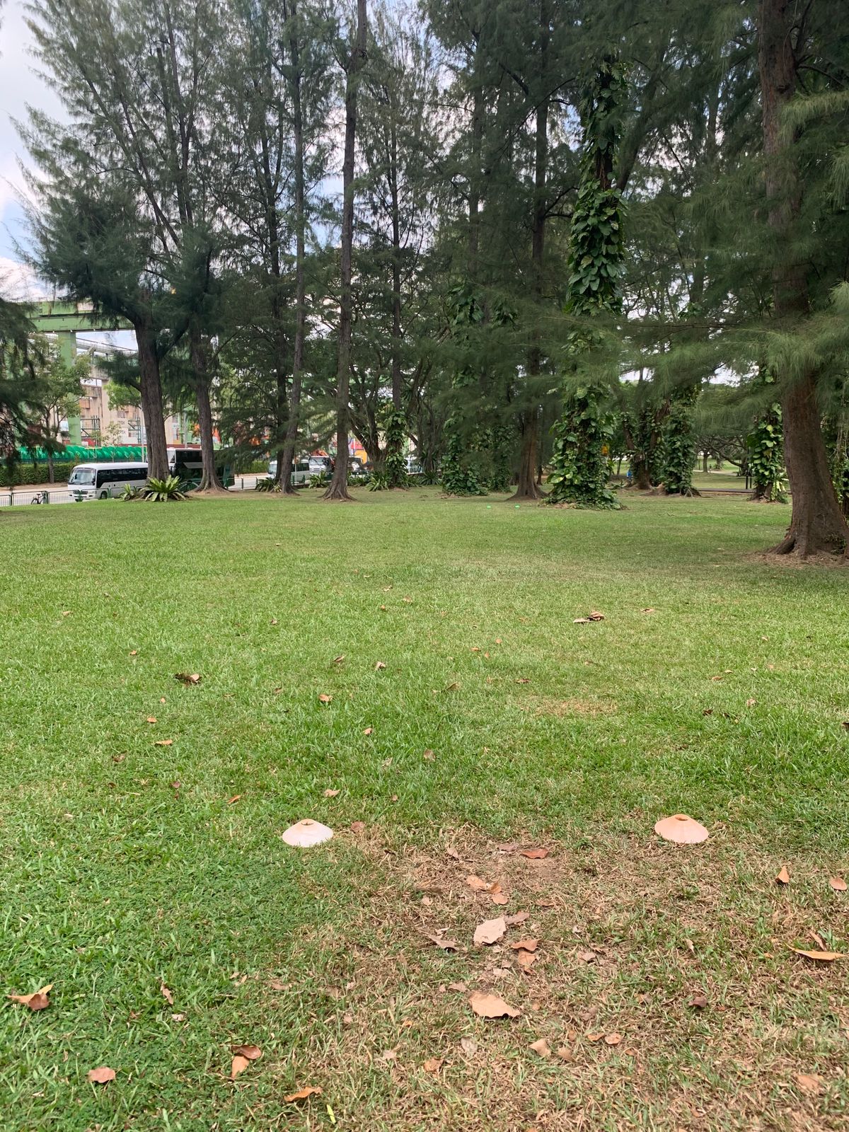 Hole 4 Tee