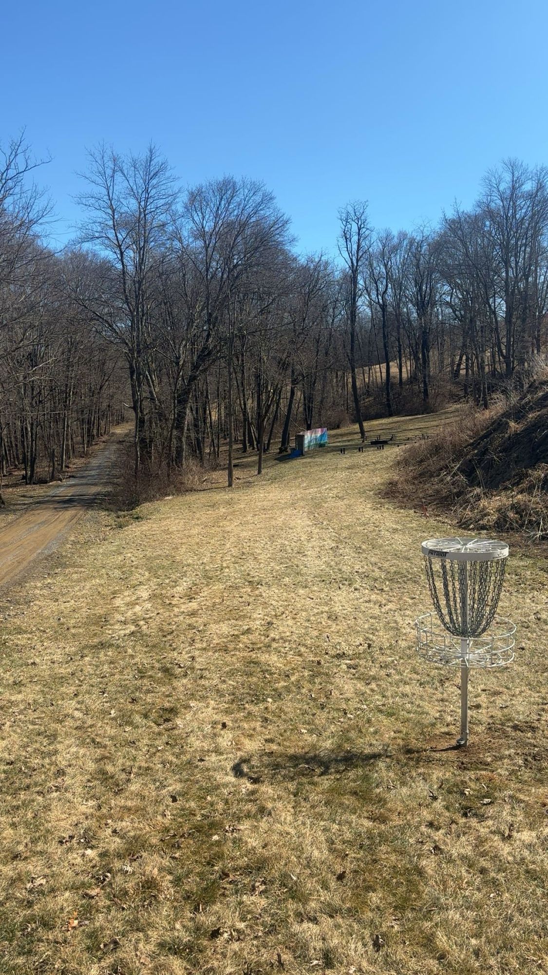 Hole 4’s basket